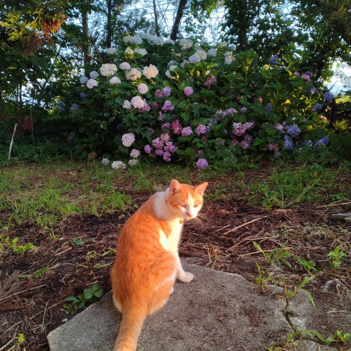 617e138f 03bd 4604 affe 2efb231b8097 1753223435224