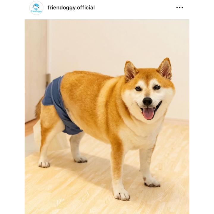 617e27bb 30d8 4983 889c f41b0f36d60d 1707966748823