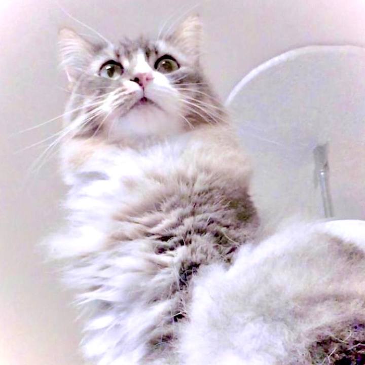 617e4660 c09f 4c82 935a aa6d6cdae844 1603215308678