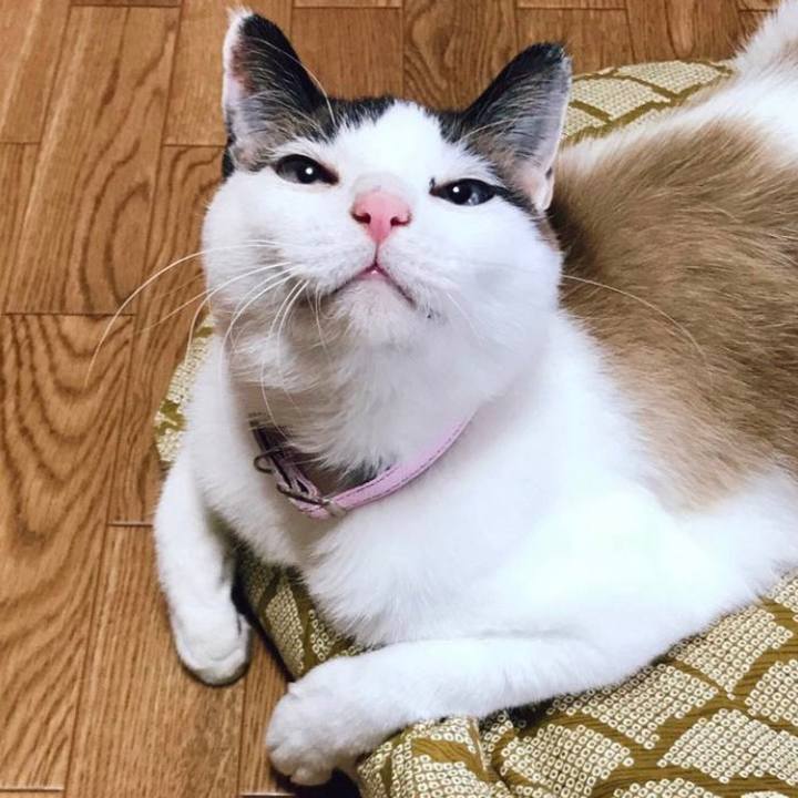 617e4803 50ca 4698 b1dd dcd4814f33cf 1685521330117