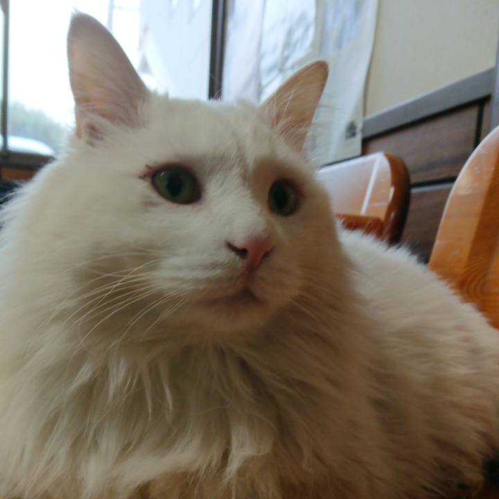 617e84a4 dcdc 4446 8f51 19f91f4b686e 1520289522217