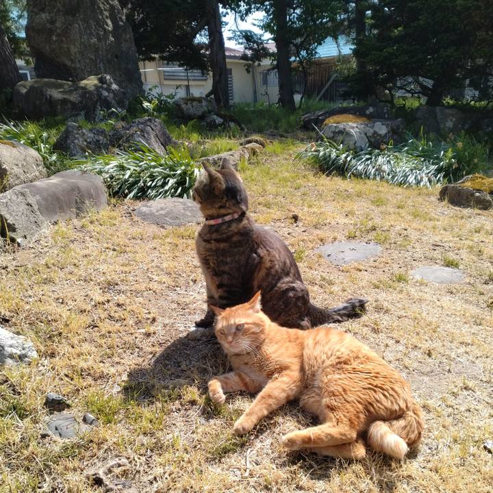 617ee61d e33d 4ab5 b9e8 a684b7ed5fdc 1715335927866