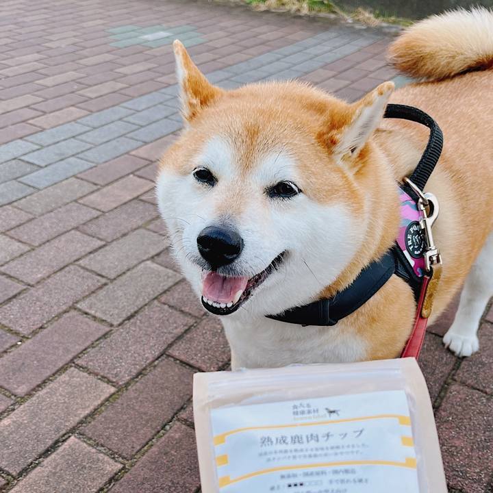 617eebc1 2bc7 4a23 ab1e 1c667fd78347 1678415323317