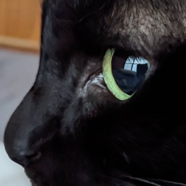 617f20be a1c6 4f11 a575 712651848a3f 1757717279355