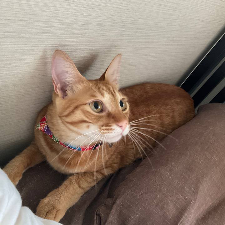 617f33e0 9442 42ae ac5e ed508392a085 1627799817432