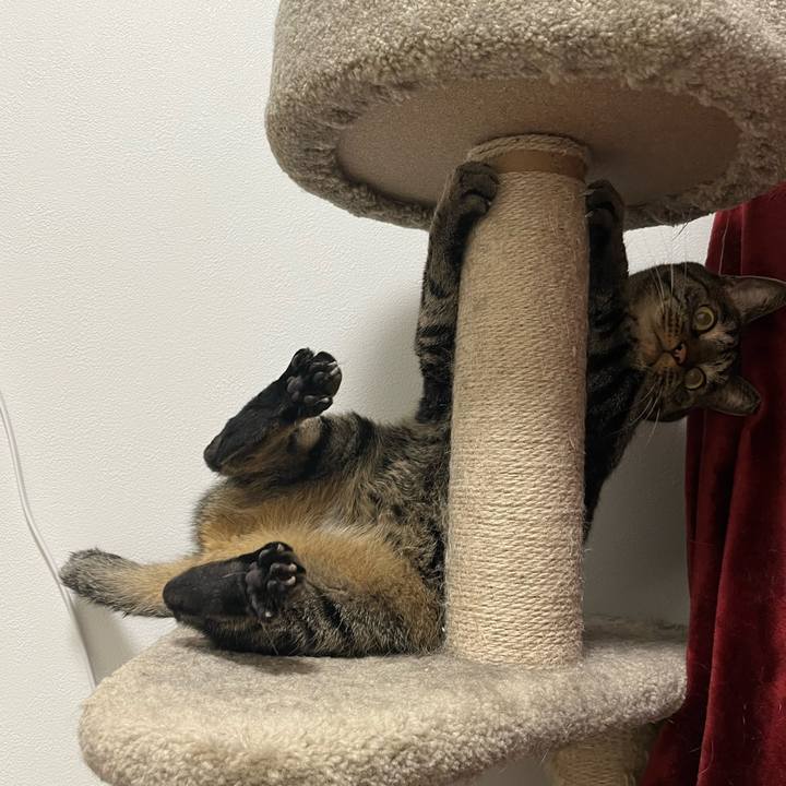 617f33ff 0086 4dce 89b0 68acbf755ebe 1760879470319