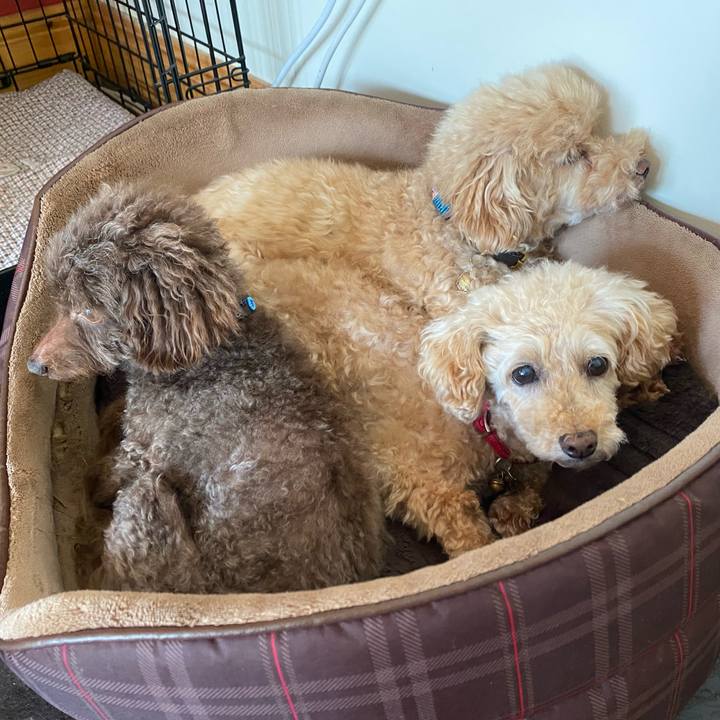 617f5467 edba 4dab a43e 38c07e0b9cb9 1721483051756