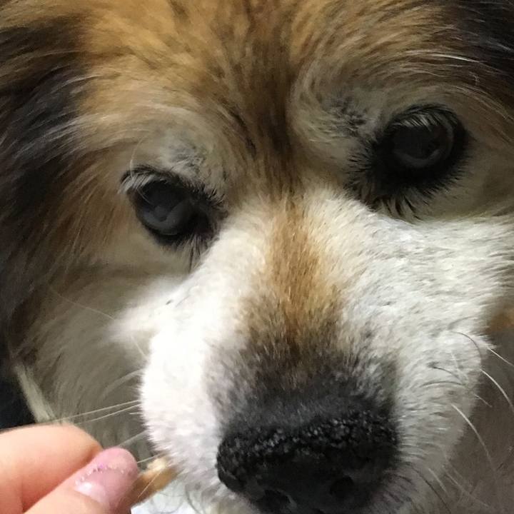 617f5e6b 127f 414d 8120 7e8090fbe164 1604121122267