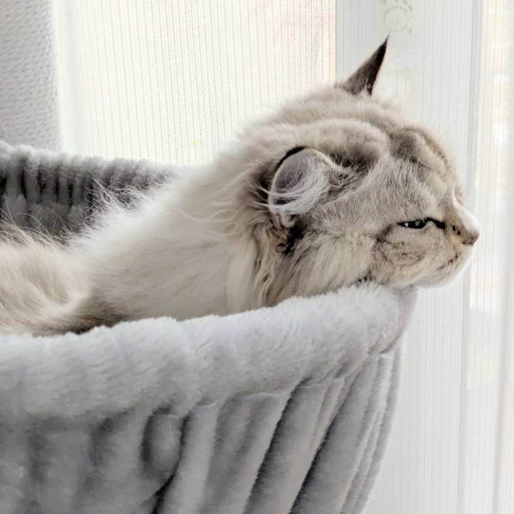 617f6951 b5b5 48c2 a722 85767b78031a 1763600946147