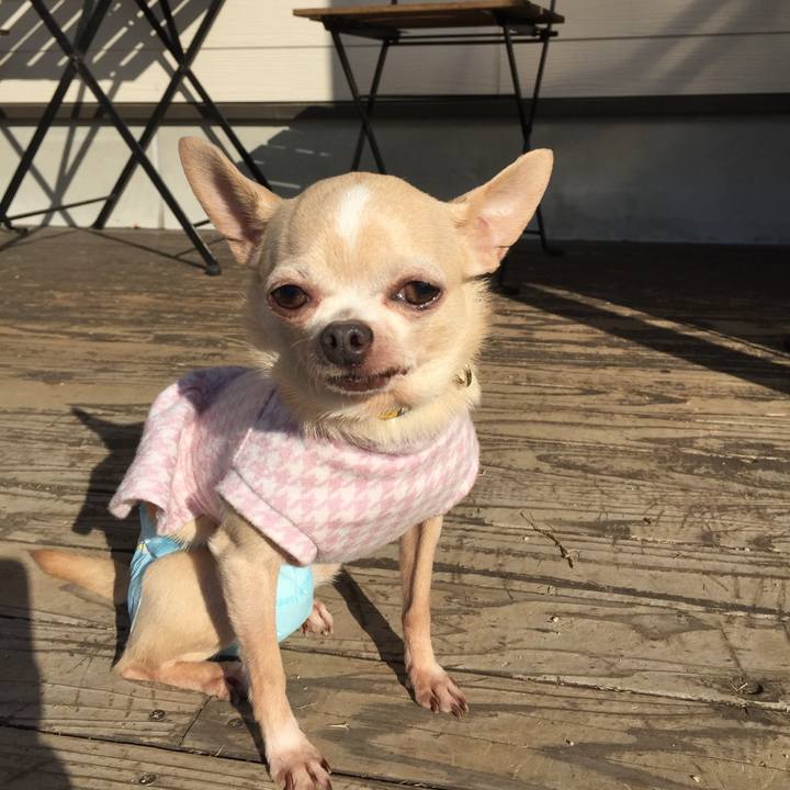 617fba20 34cb 4b54 a81e 293ab4a391fa 1576415929510