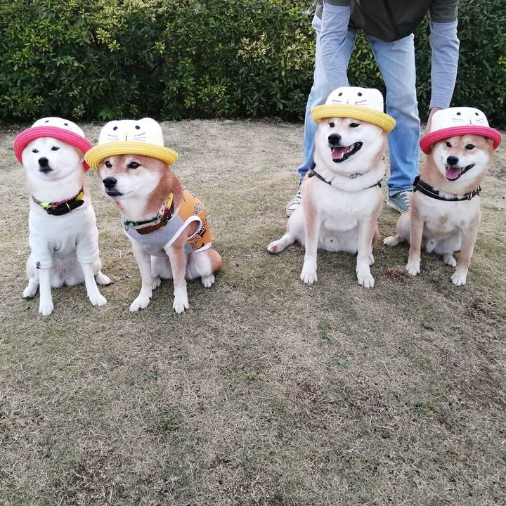 617fbbd9 b4f8 4ba3 99b4 43f0b5d6d10a 1635980470605