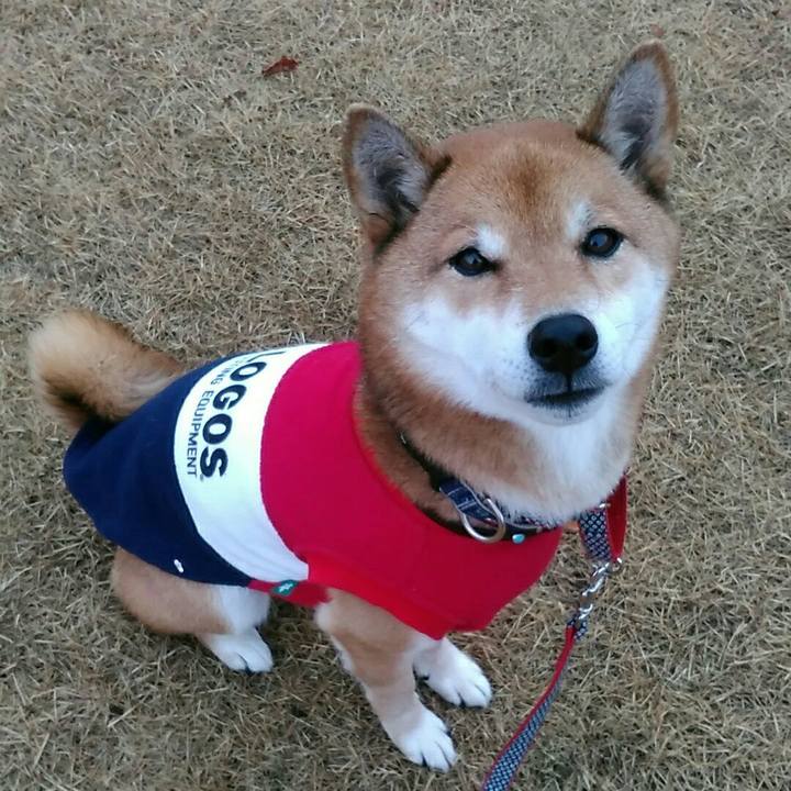 617fd5a3 ffd4 461b b631 ed9a79806331 1577706564191