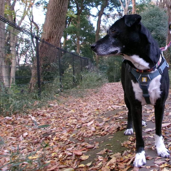 617fde0f cb84 45b0 9a35 81ee8a735c5c 1733358106917