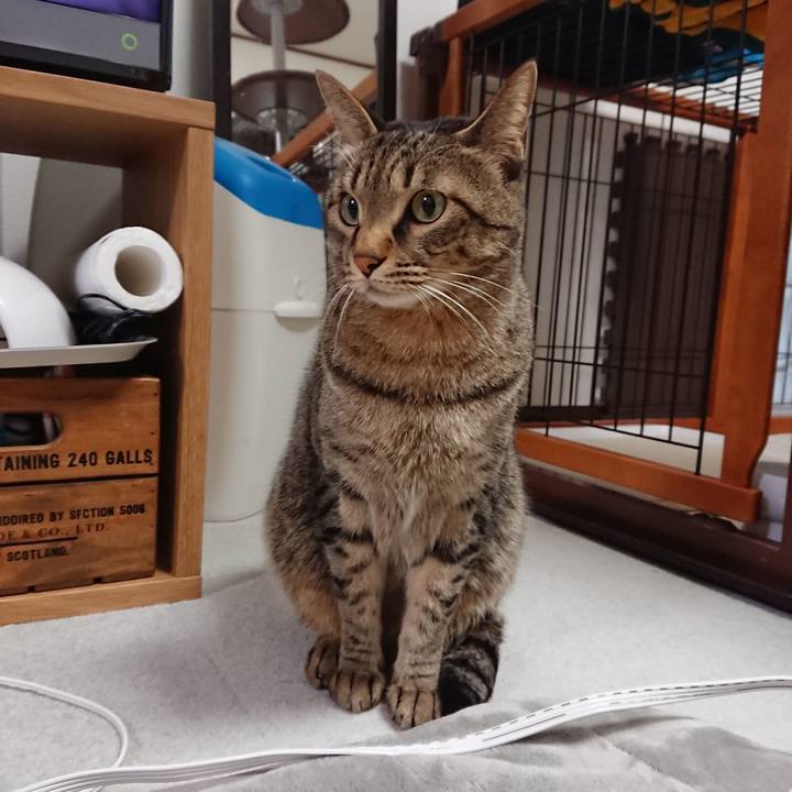 617ffabf 05f2 46c2 b31c 89e3cac00107 1546483008074