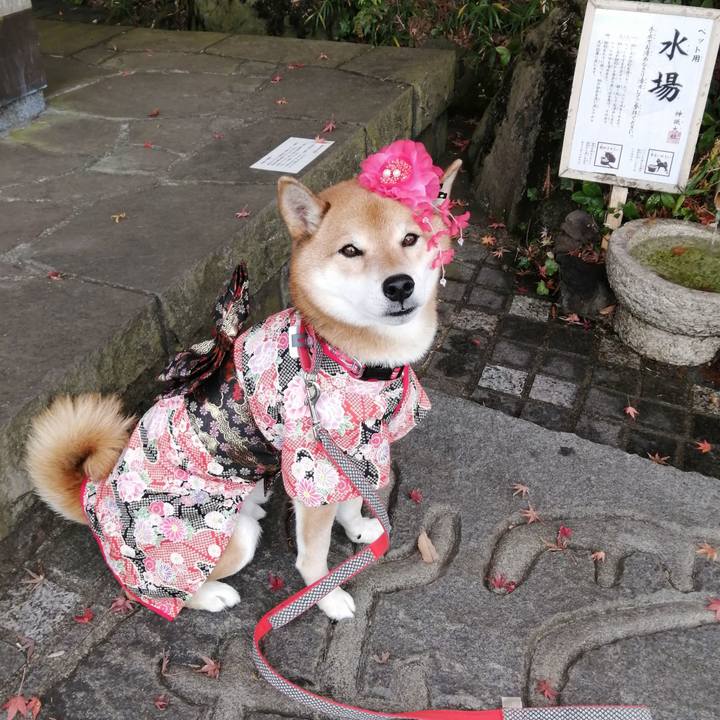 61803be4 a9d1 4cc1 95be f4dfdef7e0c0 1638882924715