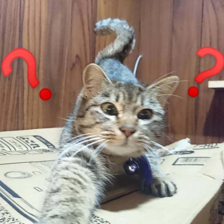 6180640d 6483 4b56 bd8f cb11bdcc2e4f 1640132752051