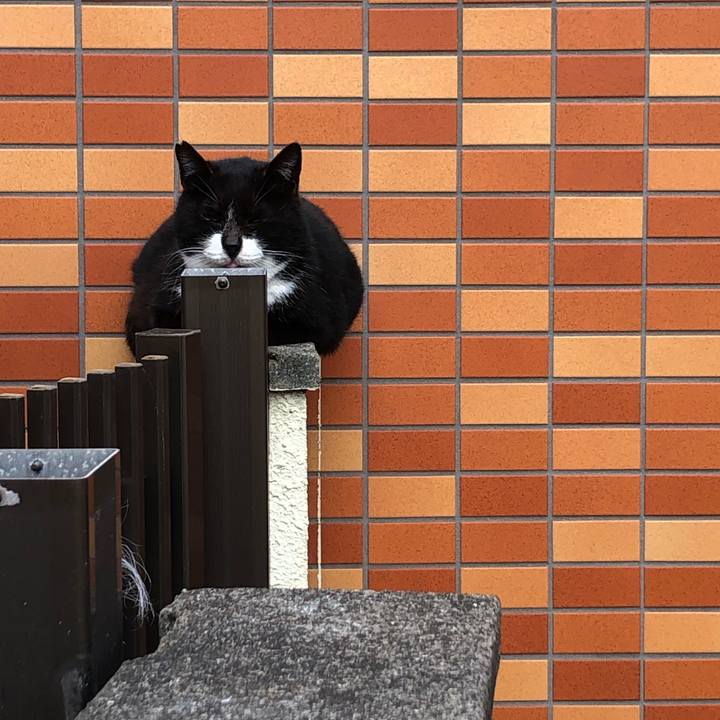 61808d4e 77b9 46d2 a34a f17faf213e55 1584001108230