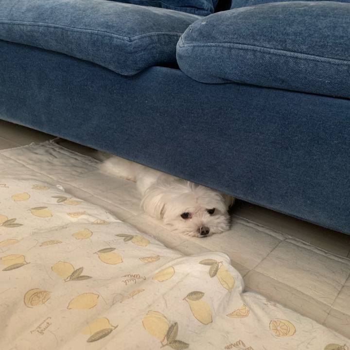 6180ceb2 ebd9 4b00 94c2 aaeb43ed3c63 1661680359399