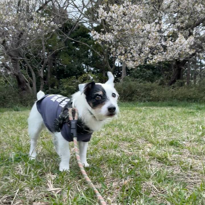 6180dae1 0a2c 480e b94b 4ca349685a38 1775265944594