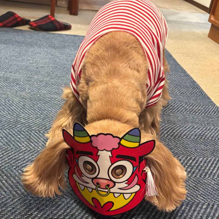 6180fe6a b6cb 48d9 864f 10471c773cdd 1770215876932