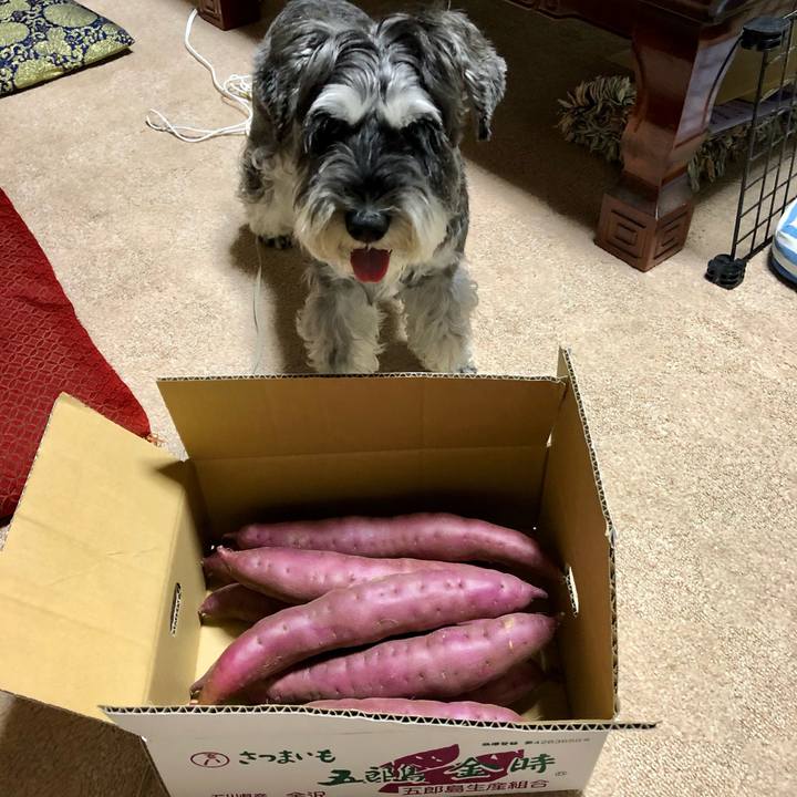 61811ead 2c27 4be7 80d7 6efa88296800 1663420675627