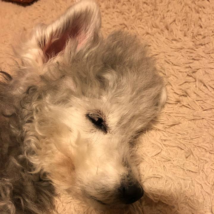 61813a1b 3afe 4d37 83bf e809136fe7c5 1745455204569