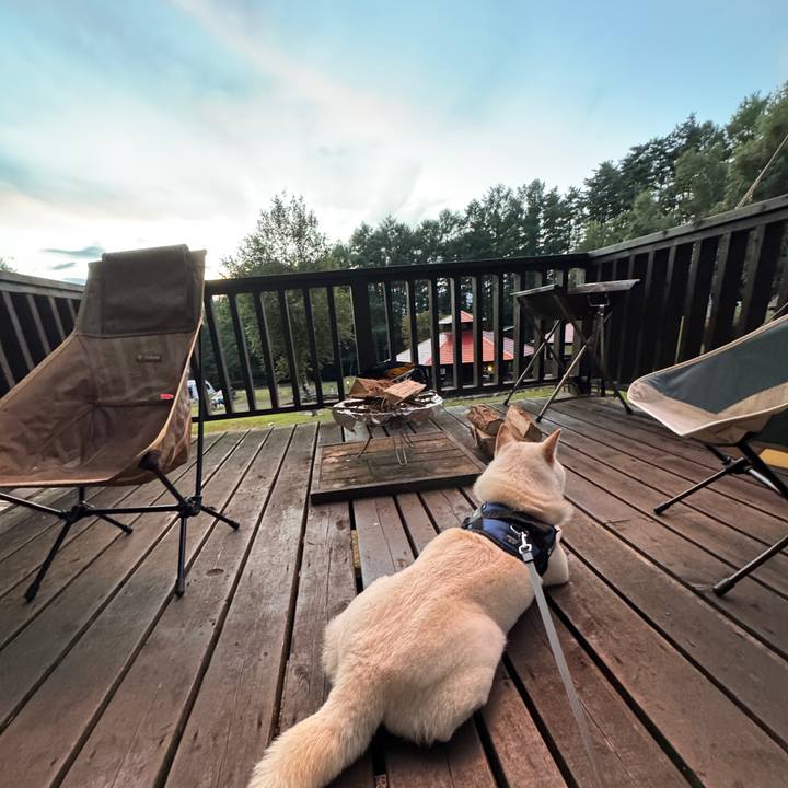 6181519b fe3a 49d6 b1f3 a1a65e5119b4 1752834311530