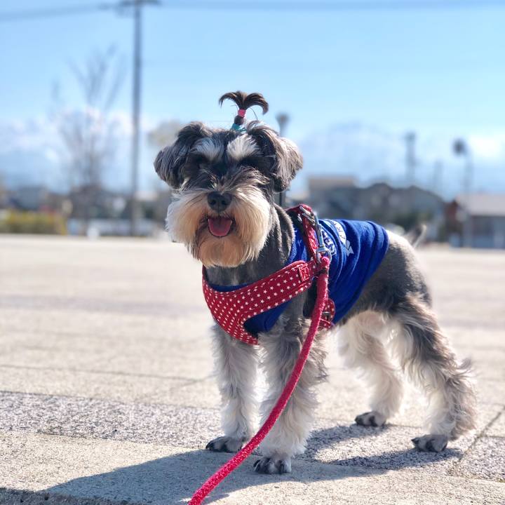 6181667c 606c 4247 8a41 7567882a6bde 1550977893499