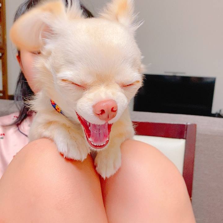 6181d7f8 d389 44a2 833a af02c40fcd4a 1630747026731