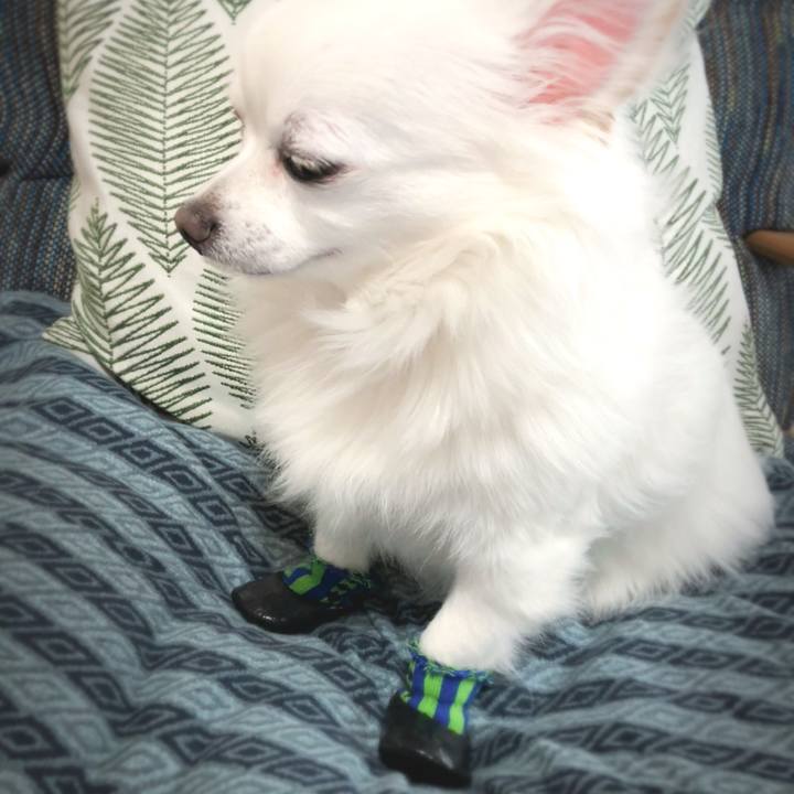 6181d97d 2801 43b0 a776 b9b9e3b2aaf6 1609920409683