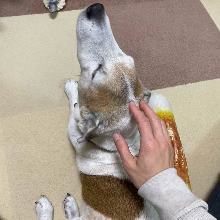 618205da e9f5 4041 a6d0 521b8bf92507 1638084646035