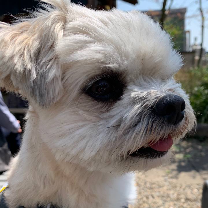 618211bc c673 47da a4bf af60ed5cbca8 1586008396112