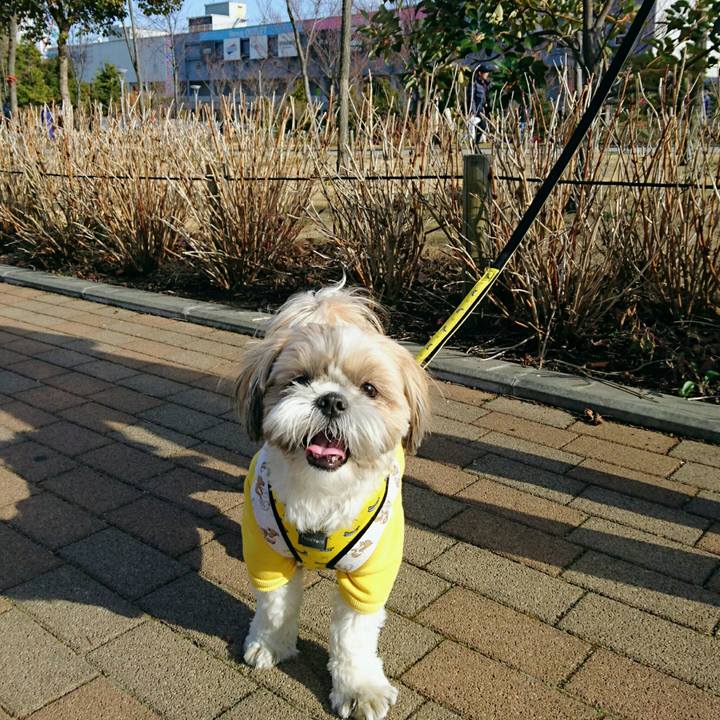 618226cd 2e82 44b0 973f 1ba117fabfde 1549788699827