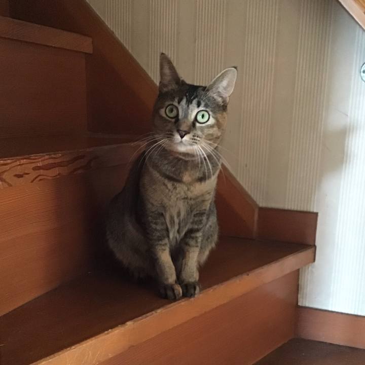 61823ba2 60c7 438c 86d8 9000142aa25e 1605593118924