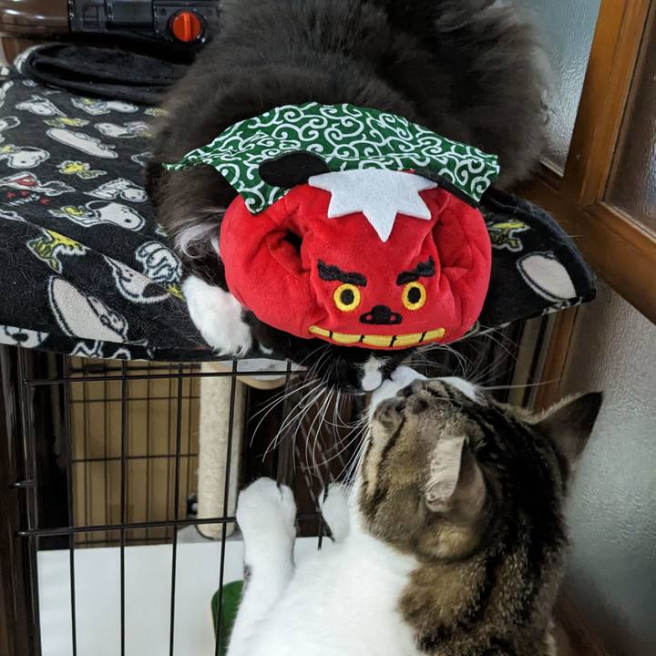 618266ad b0d6 4609 aa33 b62c5b8f9cff 1672543894454