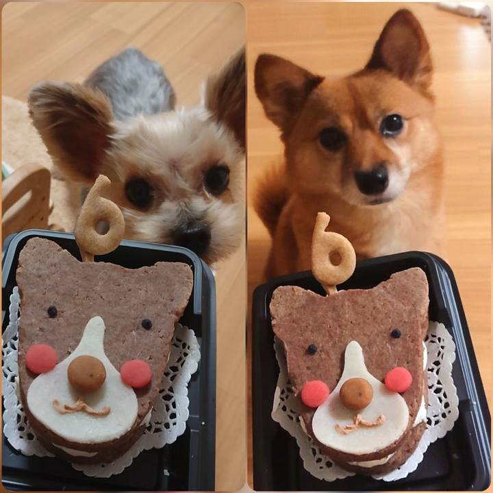 61827254 2f64 454e a235 3dc1c2e65b1d 1601771363806