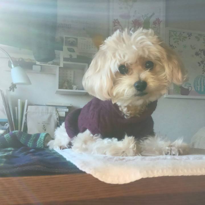 6182b0e3 aceb 474a abf6 2f45a32f111b 1510381242163