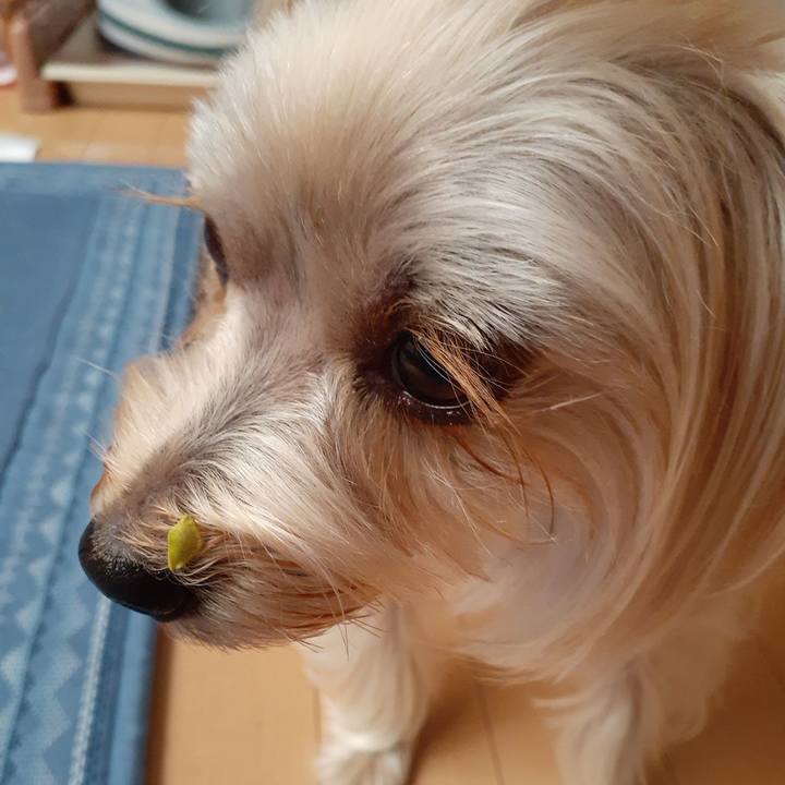 61836de9 de0b 4ab3 95ac 36091dad9e6d 1634251193438