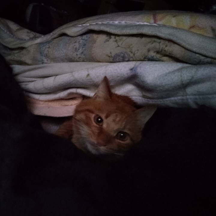 6183abe2 f1d3 4174 b471 e6939e264a4e 1667771029626