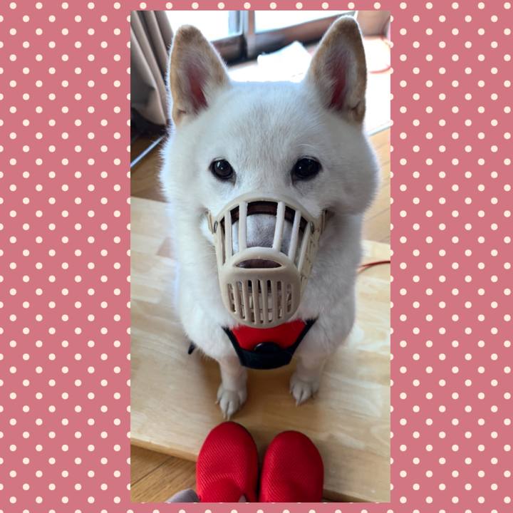 61842957 dc04 4889 b948 ce33da45915a 1613869012158