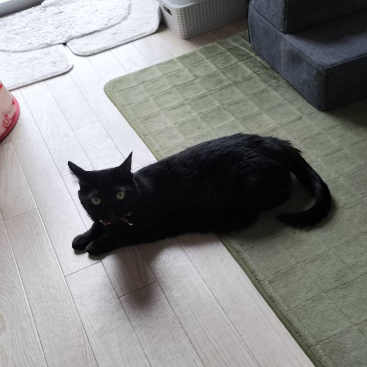 618463a3 456d 4aec 9f7b 217f9a8acef4 1661380906071