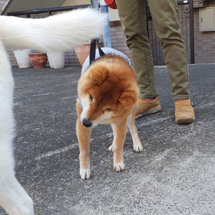 61849f1d 8ad4 4f5a 97cb e114c1a436a2 1678233746822