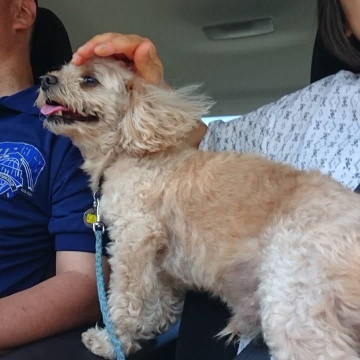 6184a269 2c27 4d83 b58c 1539698b9c6f 1565236574273