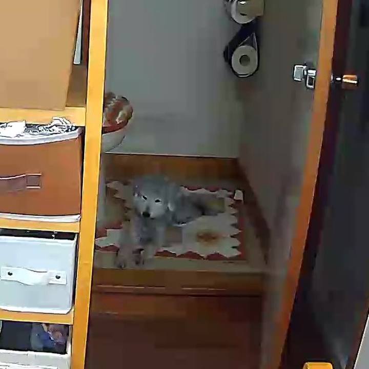 6184b906 878d 4791 ba02 19c360e22196 1623993593257