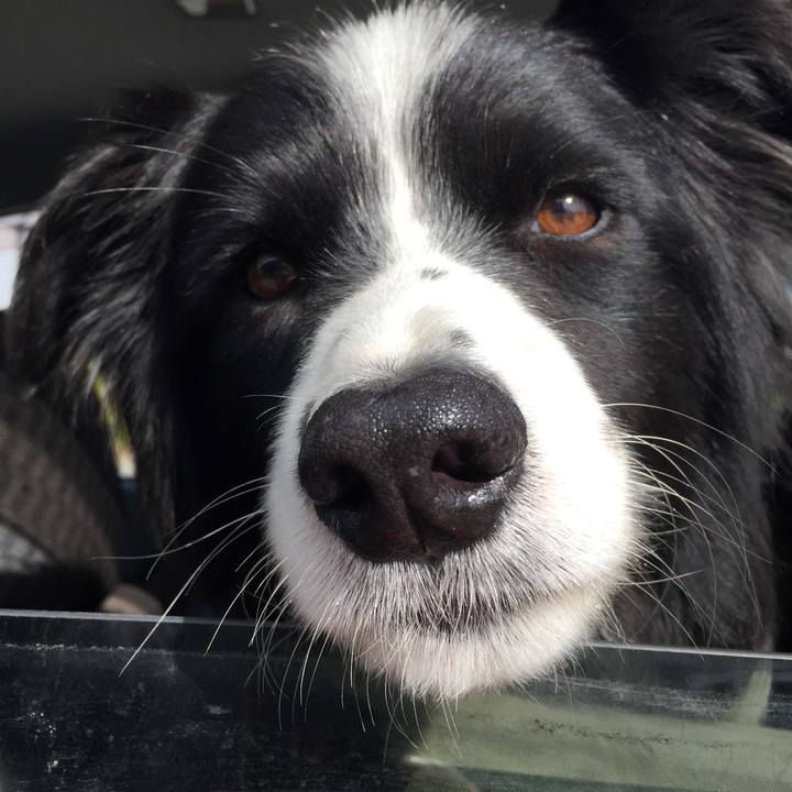 6184ce7b 7f4a 4323 9cfa b31299cb16cd 1540621620996