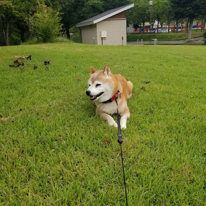 6184eb25 8b8b 4e69 a404 bc6a8b3cfa69 1722929162569