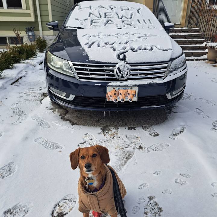 6184f899 cd93 46f2 9f91 f45668f6e93a 1767305640382