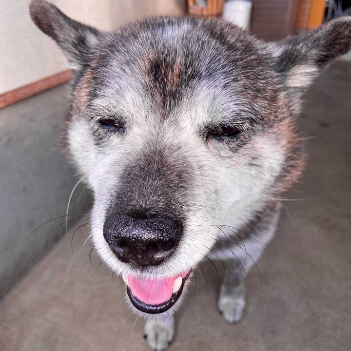 61851431 c16d 4d67 b24b 2a08cacf24ac 1751367923487