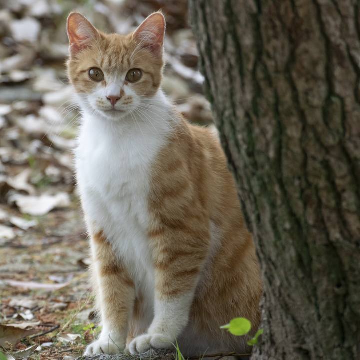 61851458 a455 47f0 9649 a8c02f34f195 1556072441225