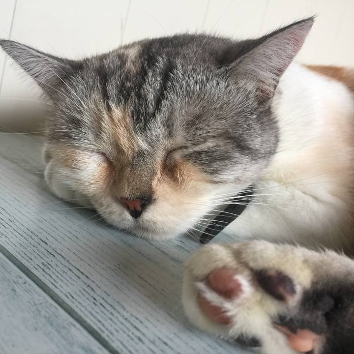 6185195c fd1a 482a 8b20 37fa0b1cd5ea 1567226575484